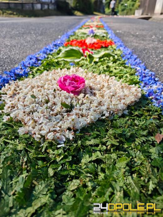 Jedna z najbardziej niezwykłych tradycji na Opolszczyźnie. Zobaczcie kwietne dywany