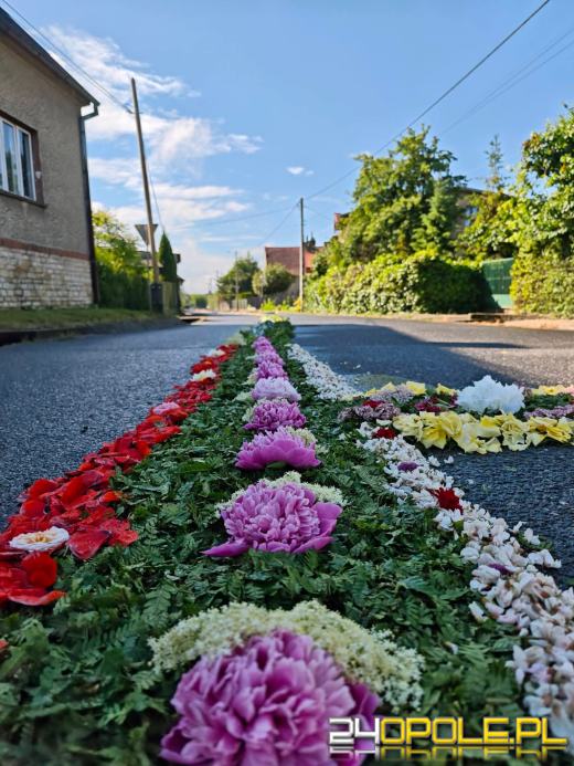 Jedna z najbardziej niezwykłych tradycji na Opolszczyźnie. Zobaczcie kwietne dywany