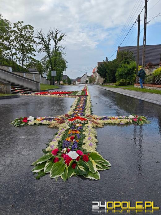 Jedna z najbardziej niezwykłych tradycji na Opolszczyźnie. Zobaczcie kwietne dywany