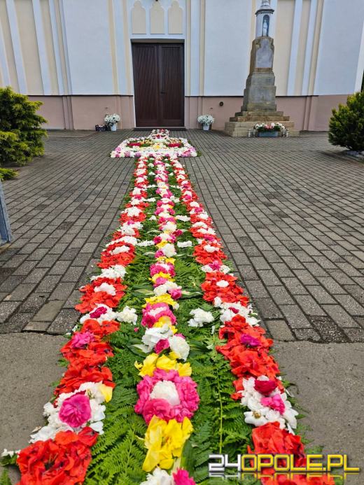 Jedna z najbardziej niezwykłych tradycji na Opolszczyźnie. Zobaczcie kwietne dywany