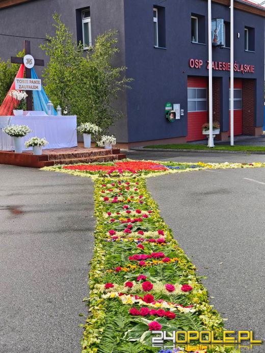 Jedna z najbardziej niezwykłych tradycji na Opolszczyźnie. Zobaczcie kwietne dywany
