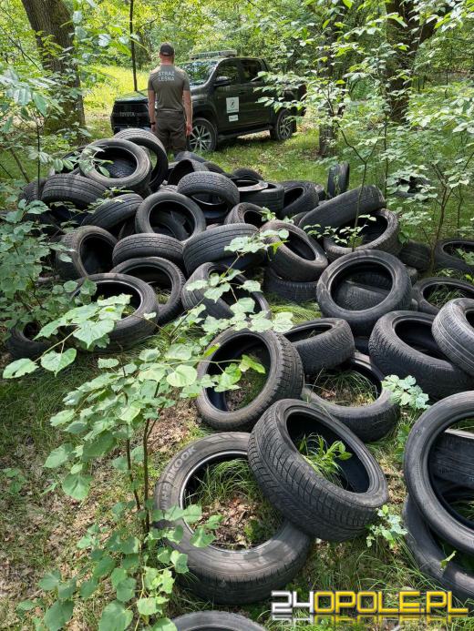 Porzucone opony w lesie koło Lipowej. Leśnicy proszą o pomoc