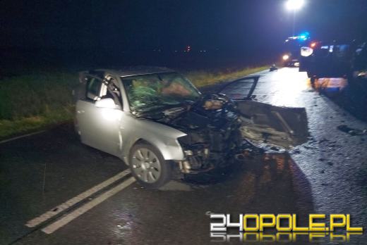 Pojechał pomóc po zderzeniu z dzikiem. Zginął w tragicznym wypadku z udziałem pijanego kierowcy