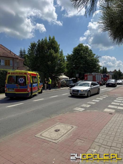 Chwila nieuwagi czy zasłabnięcie? Auto zakończyło jazdę na ogrodzeniu