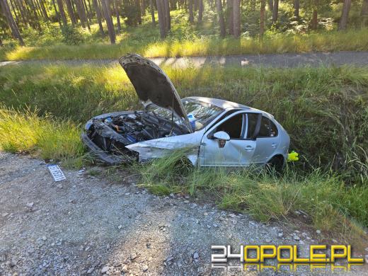 Wypadek na DK45 między Bierdzanami a Trzebiszynem. Kierowca trafił do szpitala
