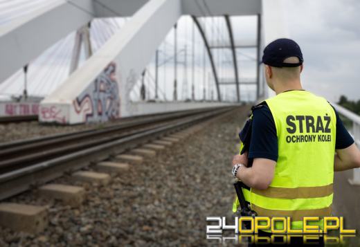 Spadł z wiaduktu na jezdnię. Błyskawiczna reakcja funkcjonariuszy SOK
