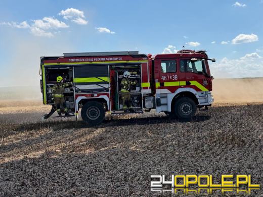 Pożar zboża w Giełczycach. Spłonęło około 60 hektarów upraw