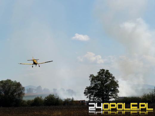 Pożar zboża w Giełczycach. Spłonęło około 60 hektarów upraw