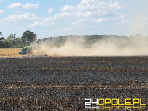 Pożar zboża w Giełczycach. Spłonęło około 60 hektarów upraw