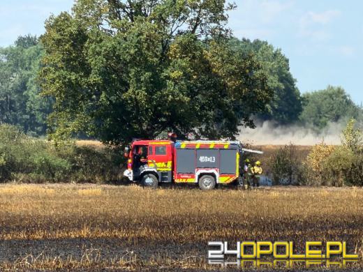 Pożar zboża w Giełczycach. Spłonęło około 60 hektarów upraw