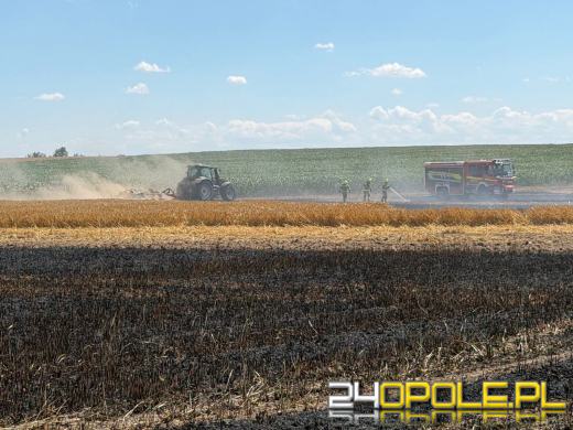 Pożar zboża w Giełczycach. Spłonęło około 60 hektarów upraw