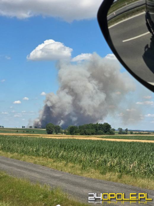 Pożar zboża w Giełczycach. Spłonęło około 60 hektarów upraw