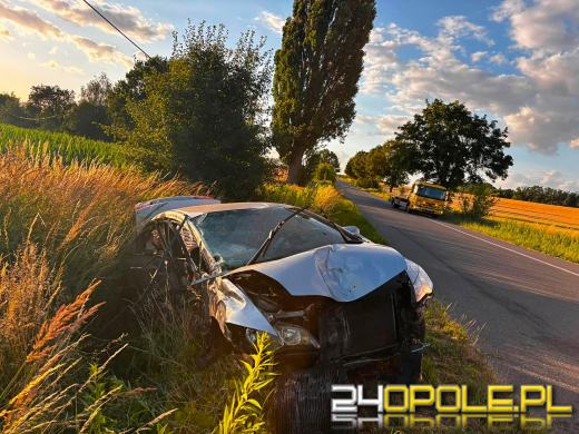 Prawie 2 promile za kierownicą. Jazdę zakończył w przydrożnym rowie