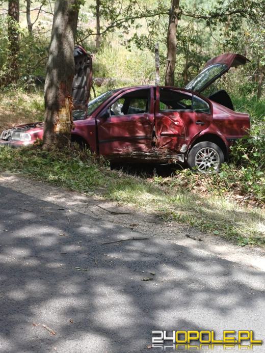 Pijany kierowca wypadł z drogi i uderzył w drzewo