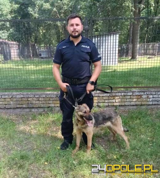 Kolejni czworonożni funkcjonariusze w szeregach opolskiej Policji