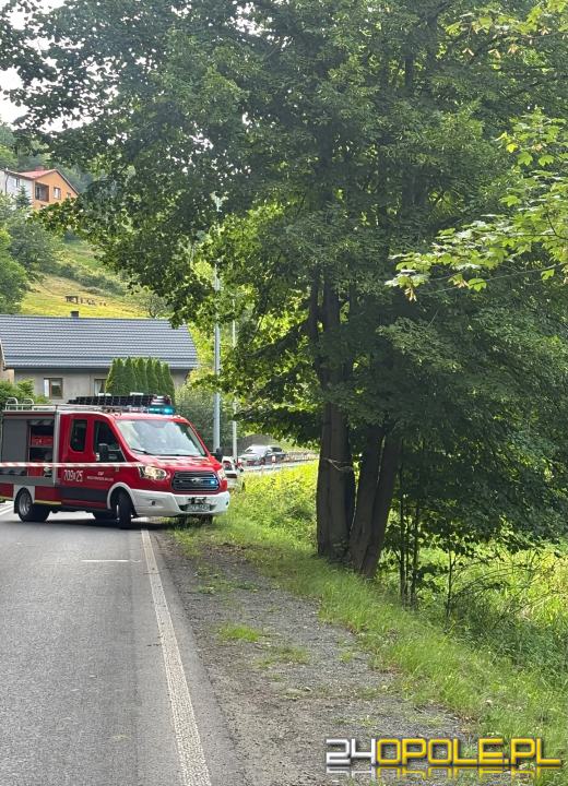 Kierowca ciężarówki i rowerzystka zginęli na miejscu. 19-latek z opolskiego został ranny