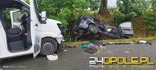 Śmiertelny wypadek na trasie Wilków-Rostkowice