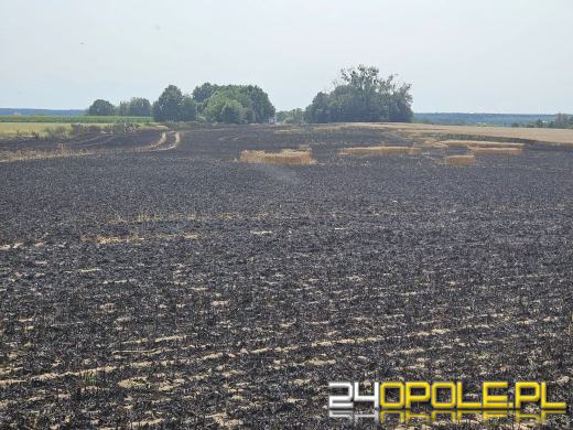 Sześć zastępów straży pożarnej uczestniczyło gaszeniu pożaru w Ujeździe
