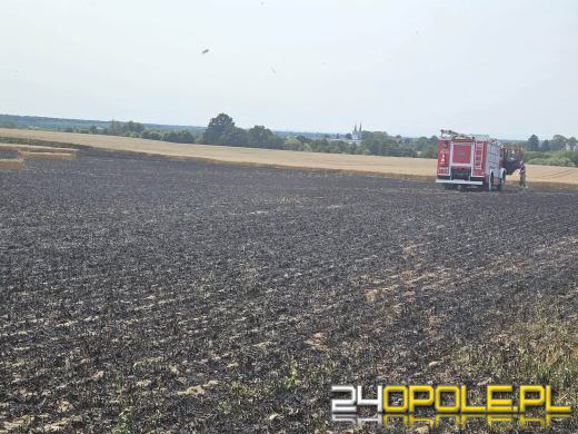 Sześć zastępów straży pożarnej uczestniczyło gaszeniu pożaru w Ujeździe