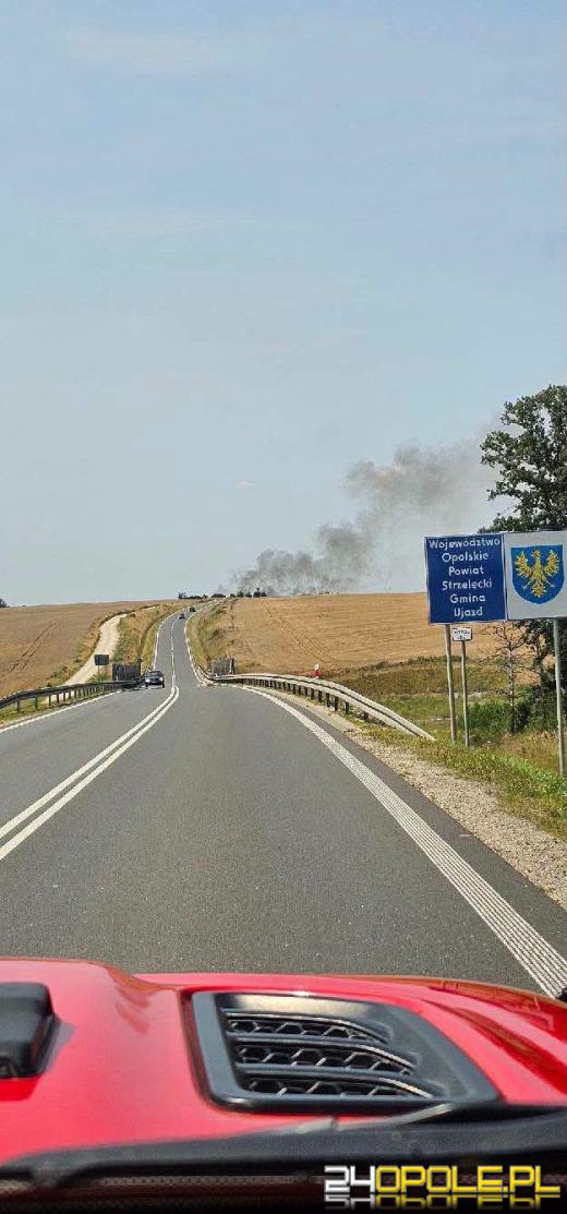 Sześć zastępów straży pożarnej uczestniczyło gaszeniu pożaru w Ujeździe
