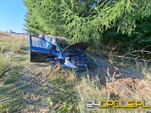 Mitsubishi wypadło z autostrady A4 i uderzyło w ogrodzenie