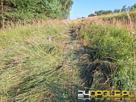 Mitsubishi wypadło z autostrady A4 i uderzyło w ogrodzenie