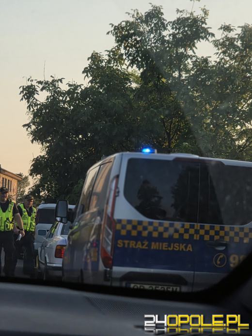 Barierka zagrodziła pobocze przy Kamionce Bolko. Zaparkowane auta utrudniają przejazd