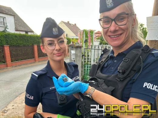 Ozimscy policjanci ruszyli na pomoc. Nietypowy "poszkodowany" nie mógł odlecieć