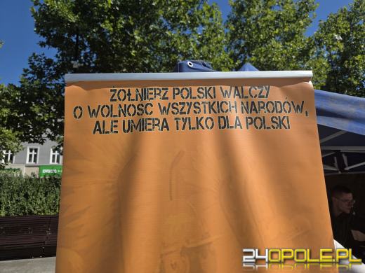 Święto Wojska Polskiego w Opolu. Uroczysty apel i wojskowy piknik