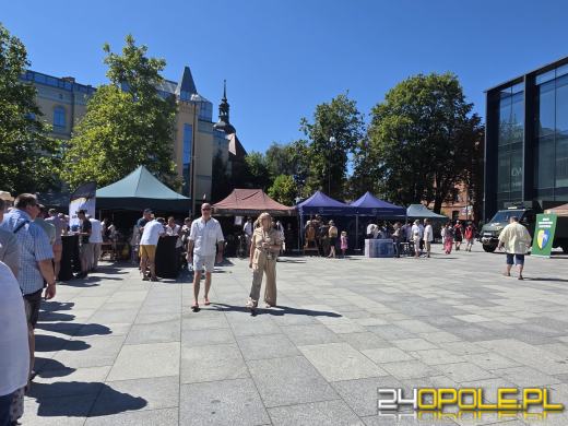 Święto Wojska Polskiego w Opolu. Uroczysty apel i wojskowy piknik