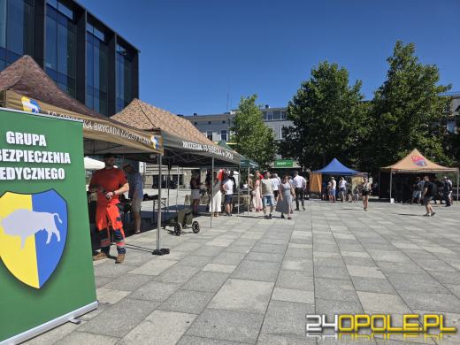 Święto Wojska Polskiego w Opolu. Uroczysty apel i wojskowy piknik