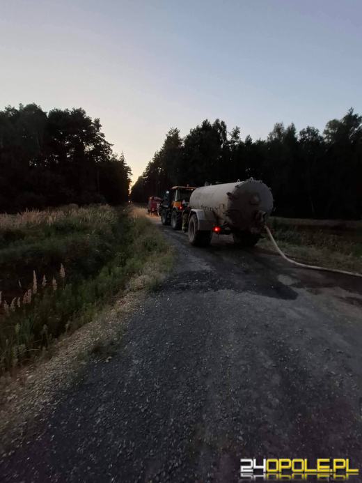 Pożar torfowiska w Ligocie Prószkowskiej. Akcja trwała do północy