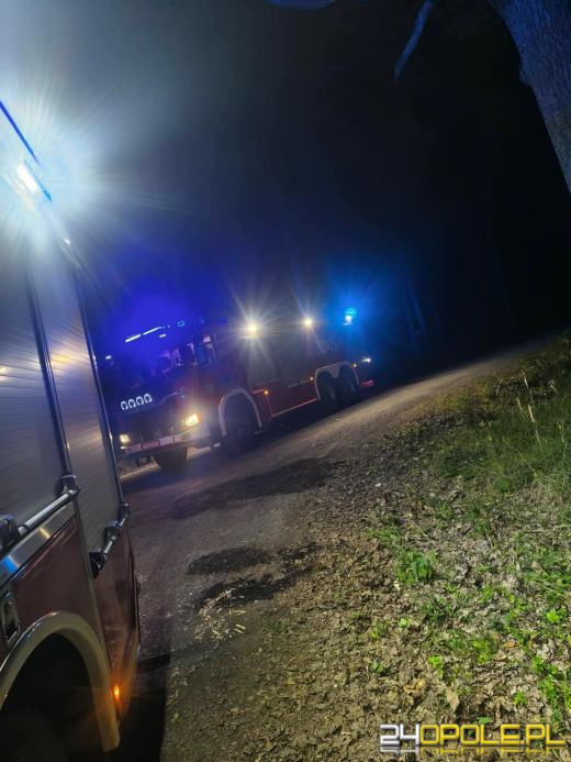 Pożar torfowiska w Ligocie Prószkowskiej. Akcja trwała do północy