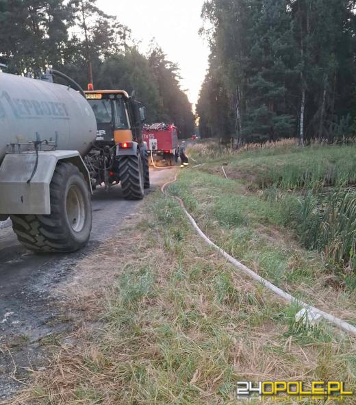 Pożar torfowiska w Ligocie Prószkowskiej. Akcja trwała do północy