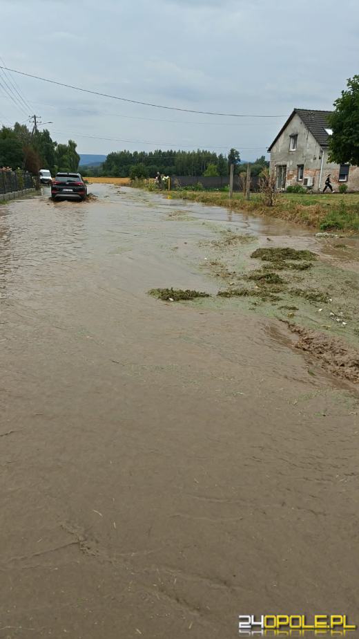 79 interwencji po burzach na Opolszczyźnie. Najwięcej w powiecie nyskim