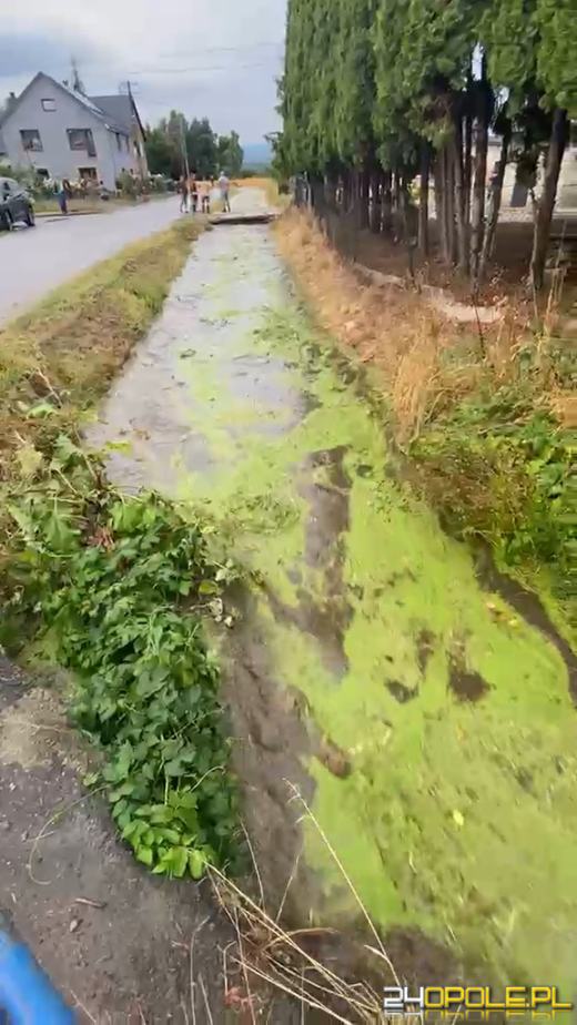 Strażacy interweniowali w całym regionie po przejściu frontu burzowego WIDEO