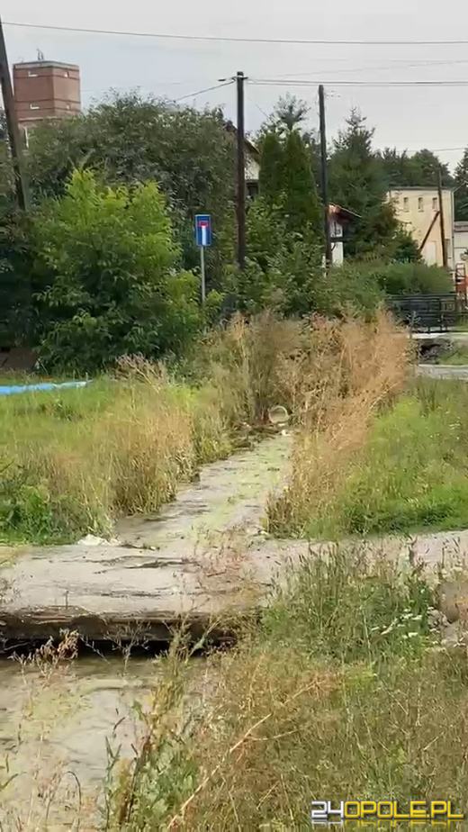Strażacy interweniowali w całym regionie po przejściu frontu burzowego WIDEO