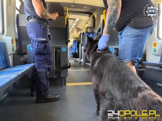 Policyjne psy ćwiczyły na kolei. Wagony, bagaże i symulacja interwencji