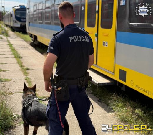 Policyjne psy ćwiczyły na kolei. Wagony, bagaże i symulacja interwencji