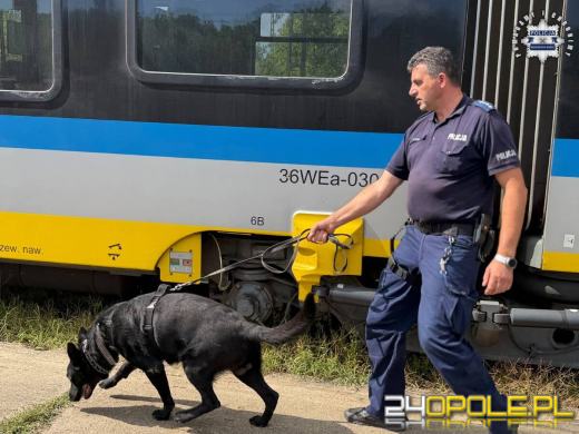 Policyjne psy ćwiczyły na kolei. Wagony, bagaże i symulacja interwencji