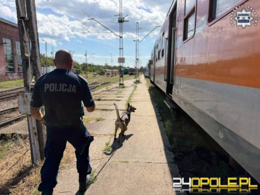Policyjne psy ćwiczyły na kolei. Wagony, bagaże i symulacja interwencji