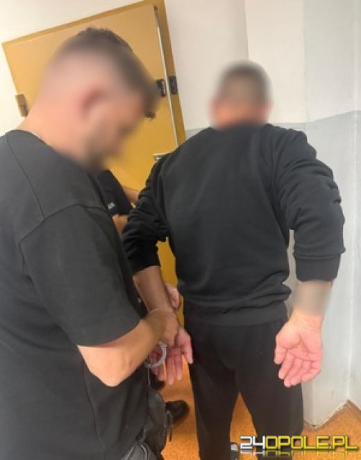 Narkotyki ukryli w opakowaniu po psich przysmakach. Dwaj mężczyźni zatrzymani