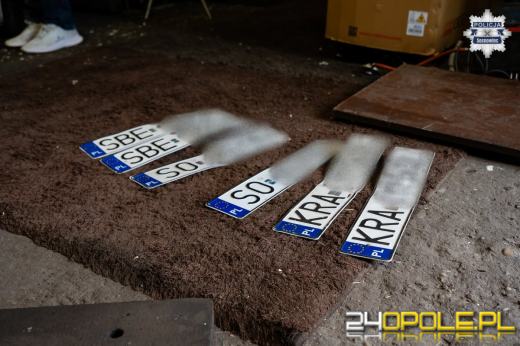 Rozbili zorganizowaną grupę przestępczą - 7 osób zatrzymanych