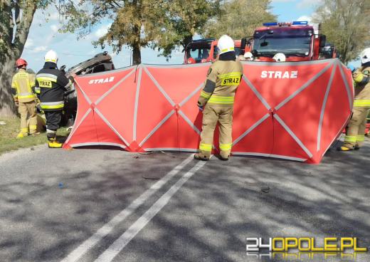 Śmiertelny wypadek. Zablokowana DW454 w powiecie namysłowskim