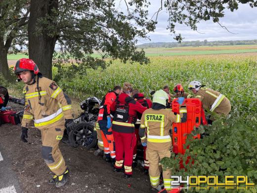 Samochód uderzył w drzewo. Kierowca trafił do szpitala śmigłowcem LPR