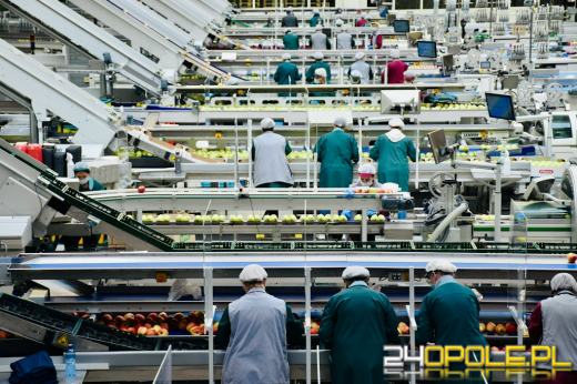 Jakie jest zastosowanie drukarki przemysłowej w nowoczesnej produkcji?