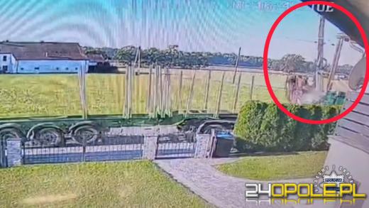 Uszkodził słup energetyczny i odjechał - policjanci szybko ustalili kierowcę ciężarówki