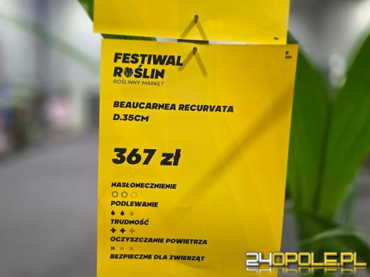 Niektórzy przychodzą tylko popatrzeć, ale wychodzą z pełną skrzynką