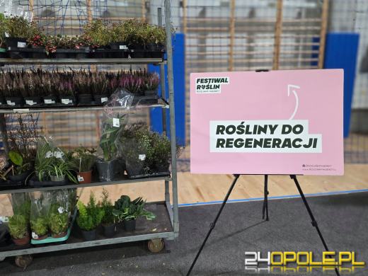 Niektórzy przychodzą tylko popatrzeć, ale wychodzą z pełną skrzynką
