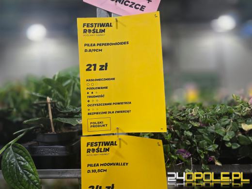 Niektórzy przychodzą tylko popatrzeć, ale wychodzą z pełną skrzynką